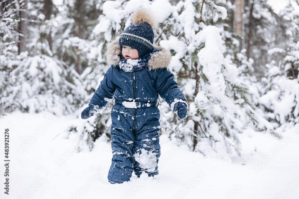 Child walking in snowy pine forest. Rear view of little kid boy having fun outdoors in winter nature. Christmas holiday. Cute toddler boy in blue overalls and knitted scarf and cap playing in park. Child walking in snowy pine forest. Rear view of little kid boy having fun outdoors in winter nature. Christmas holiday. Cute toddler boy in blue overalls and knitted scarf and cap playing in park.