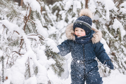 Child walking in snowy spruce forest. Little kid boy having fun outdoors in winter nature. Christmas holiday. Cute happy toddler boy in blue overalls and knitted scarf and cap playing in park.