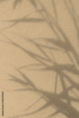 Shadows nature light beige background. Neutral contrast design made of dry grass. Fashionable earthy decorative shades. Calm natural pastel design. The concept of the beauty of the earth. Copy space