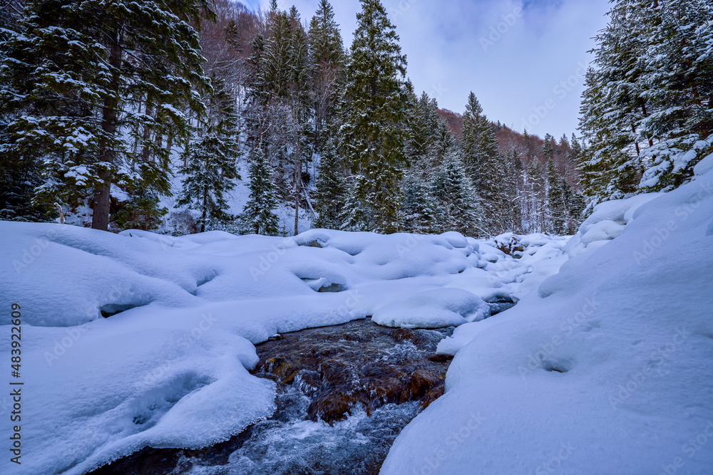 winter images with a mountain river. idyllic landscape