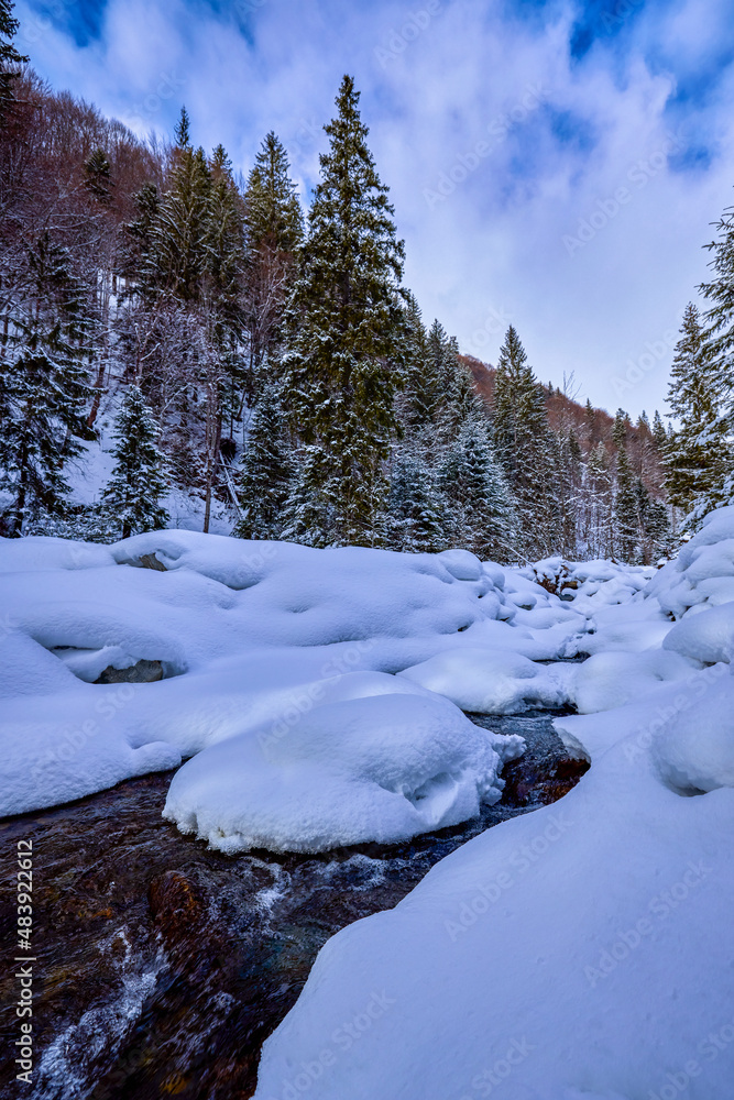 Fototapeta premium winter images with a mountain river. idyllic landscape