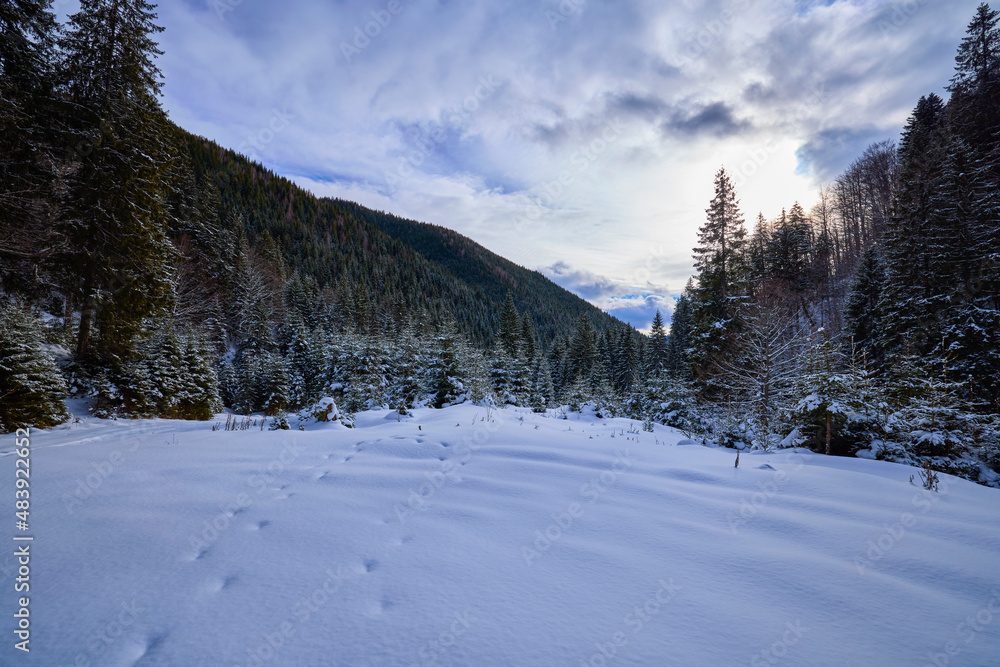 beautiful mountain landscape in winter in the Carpathian mountains Romania beautiful mountain landscape in winter in the Carpathian mountains Romania