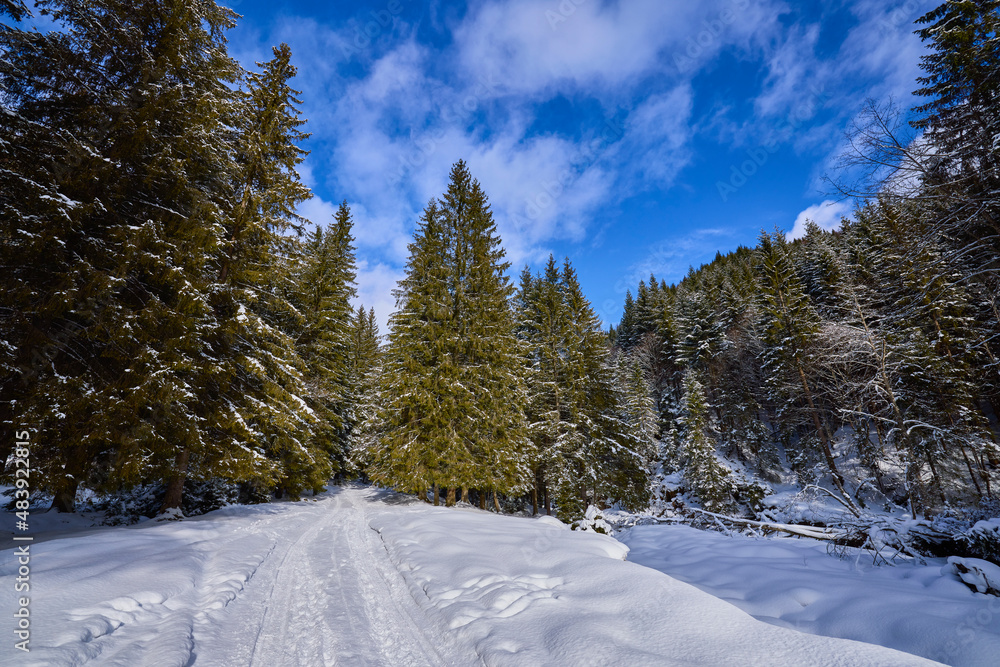 beautiful mountain landscape in winter in the Carpathian mountains Romania beautiful mountain landscape in winter in the Carpathian mountains Romania