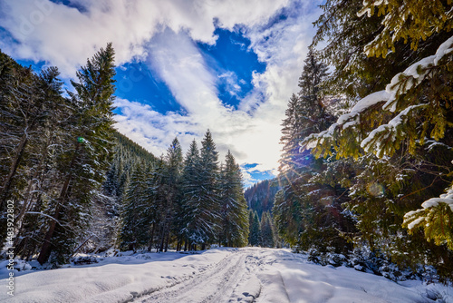 beautiful mountain landscape in winter in the Carpathian mountains Romania