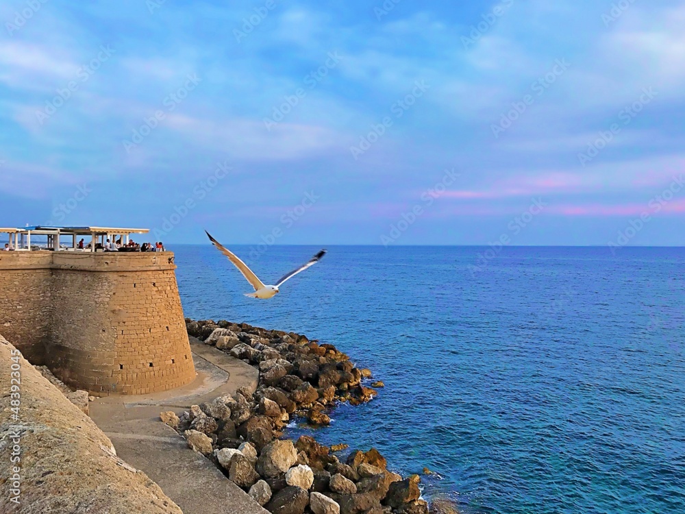 Bird flying over Gallipolli Sea