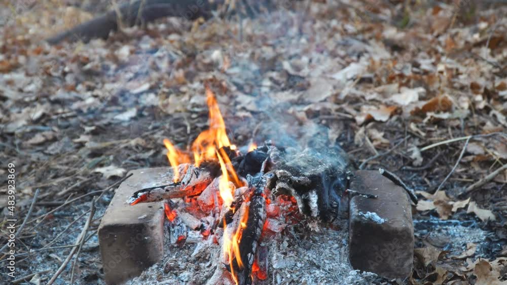 A small campfire in the autumn forest among withered leaves A small campfire in the autumn forest among withered leaves