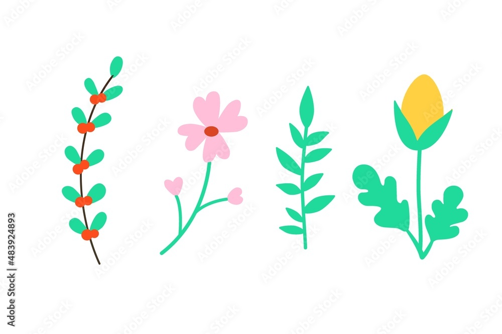 flowers and leaves isolated on a white background flowers and leaves isolated on a white background