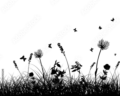 Green Grass Meadow