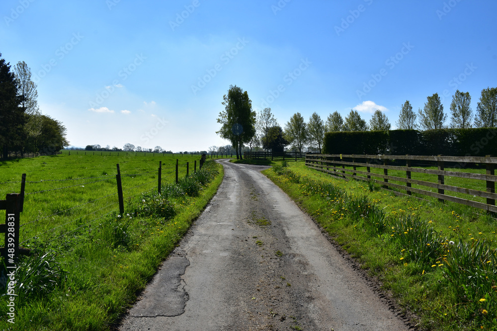 Winding Road Through Rural Farmland in the Spring