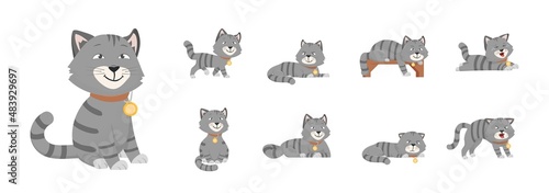 Fototapeta Naklejka Na Ścianę i Meble -  Cat different poses. Grey cats emotions, cartoon kitten eat and sleep. Isolated animal, cute comic pet behavior. Lazy, scared decent vector characters