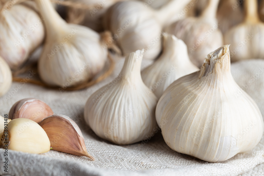 Spicy garlic on rustic cloth macro Spicy garlic on rustic cloth macro