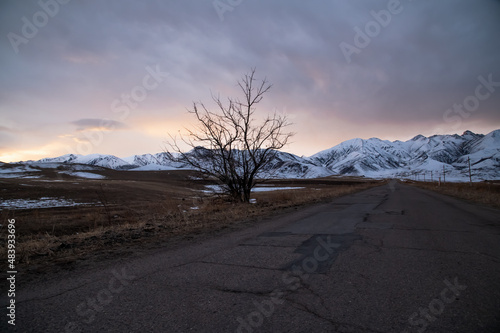 road to the mountains on a winter morning. lonely tree by the road.