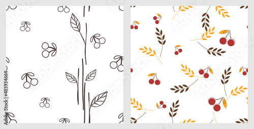 Fototapeta Naklejka Na Ścianę i Meble -  Seamless patterns with cherry branches, leaves and tree on white backgrounds vector.