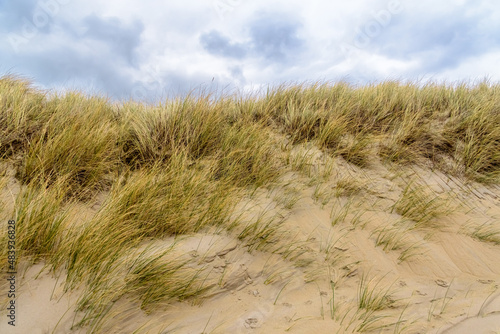 Fototapeta Naklejka Na Ścianę i Meble -  Grass and Sand in the dunes at Dutch city Katwijk aan zee