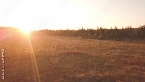 flying over a field, forest and stream at sunset