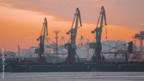 portal crane. Sea port in St. Petersburg