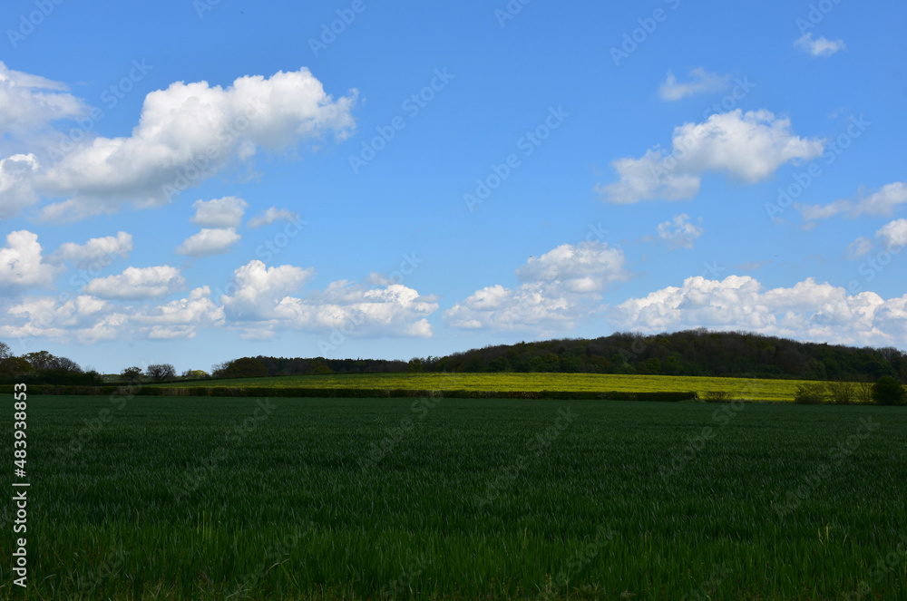 Stunning Spring Day with Fields of Crops