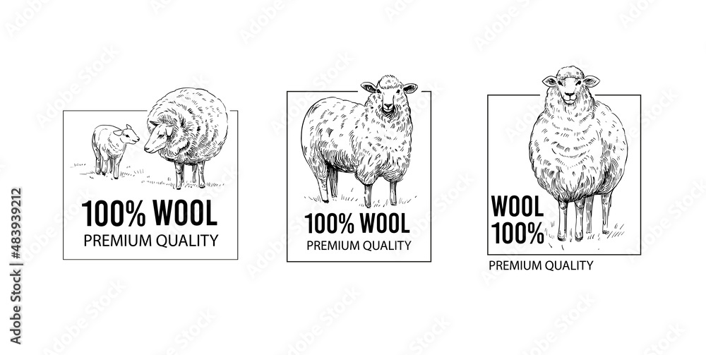 Sheep. Vector illustration. Black outline on a transparent background Sheep. Vector illustration. Black outline on a transparent background