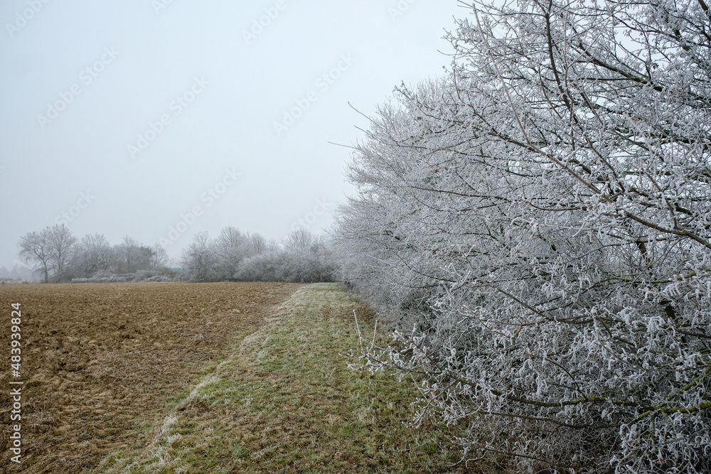 Nature givrée Nature givrée
