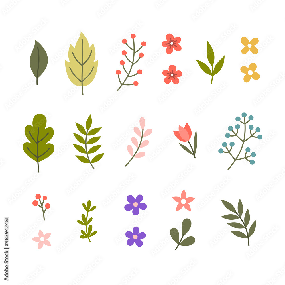 Flower and Leaf Set on White Background. Vector Flower and Leaf Set on White Background. Vector