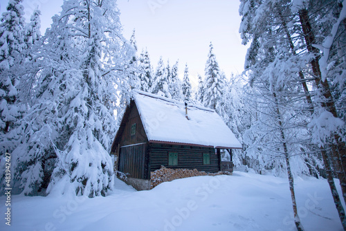 Kranjska gora in Slovenia winter landscape