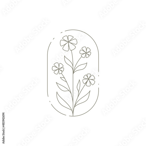 Elegant natural chamomile bouquet with stem, petal and leaves at ellipse hand drawn frame icon