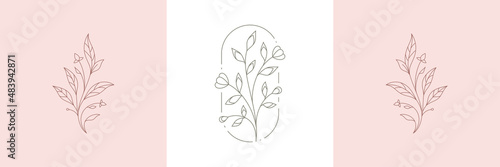 Decorative monochrome wild floral bouquet with petals, stem and leaves pastel logo set vector