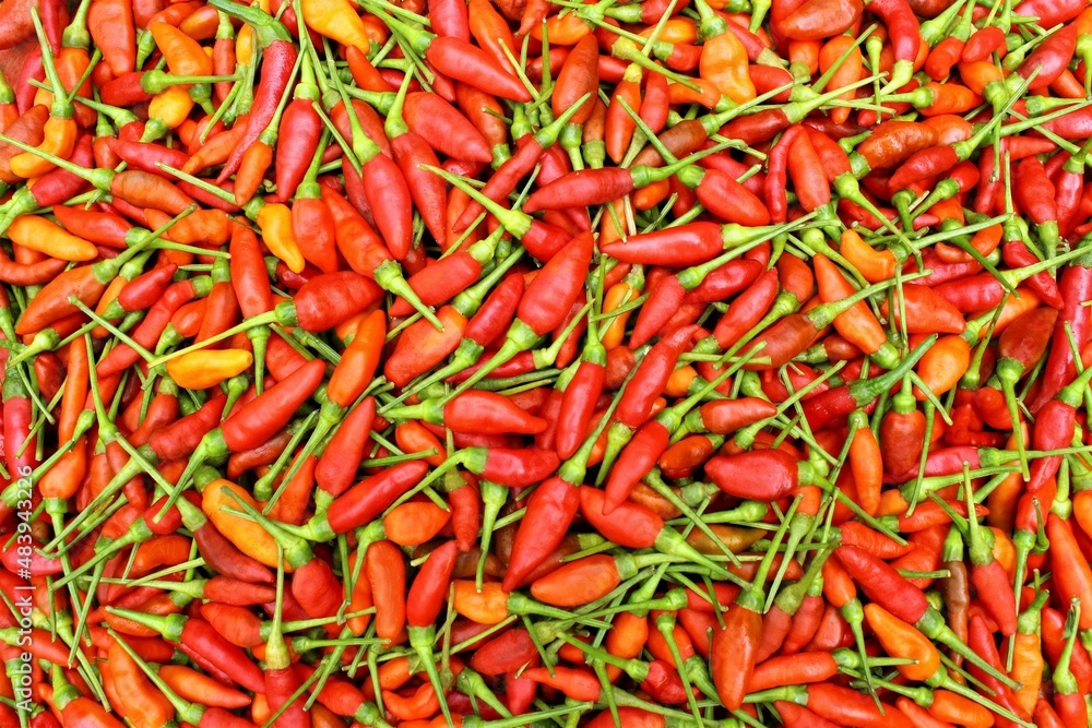 Red hot chili peppers photo full frame background top view 
