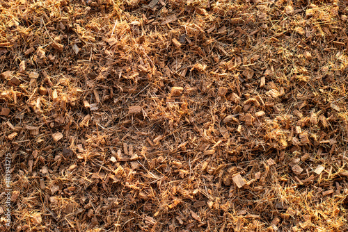 Lots of fine coconut husks, texture background.