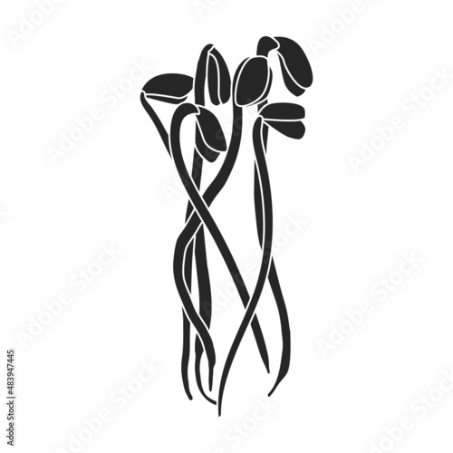 Sprout soybean vector icon.Black vector icon isolated on white background sprout soybean.