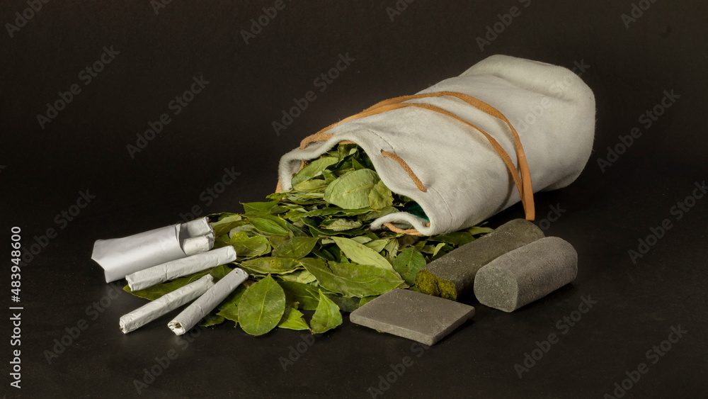 Erythroxylum coca. La COCA no es cocaina. Hojas de COCA secas que