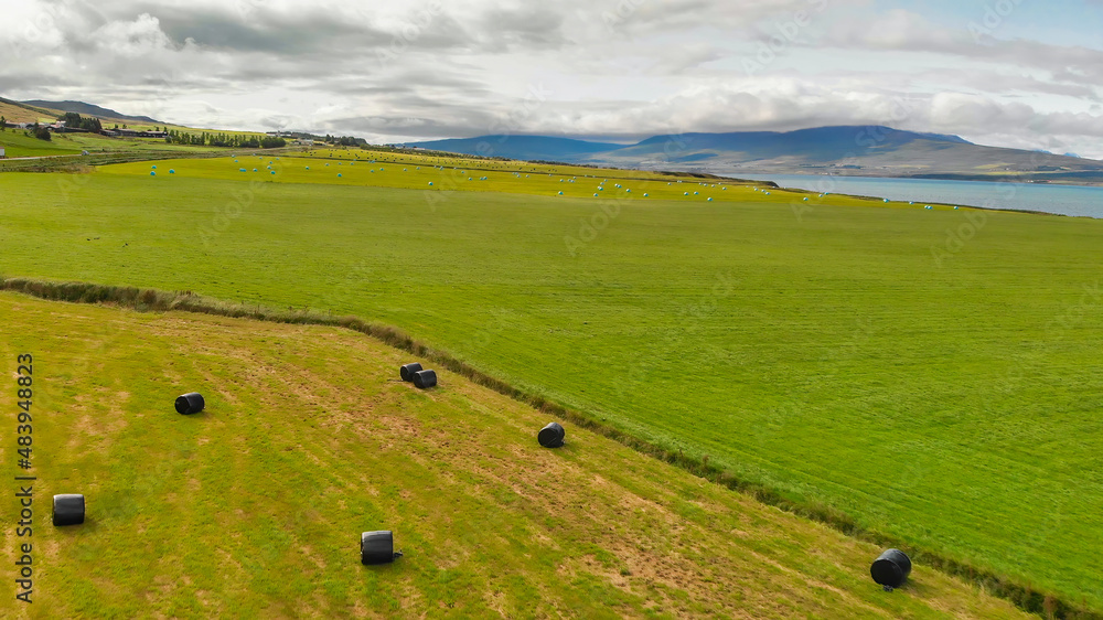 Aerial view of Haylage roll silage wrapped with plastic films in the field, Iceland.