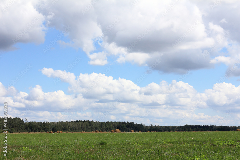 field with green grass and round haystacks in the distance near a forest under a sky with clouds during the day. summer rural landscape field with green grass and round haystacks in the distance near a forest under a sky with clouds during the day. summer rural landscape