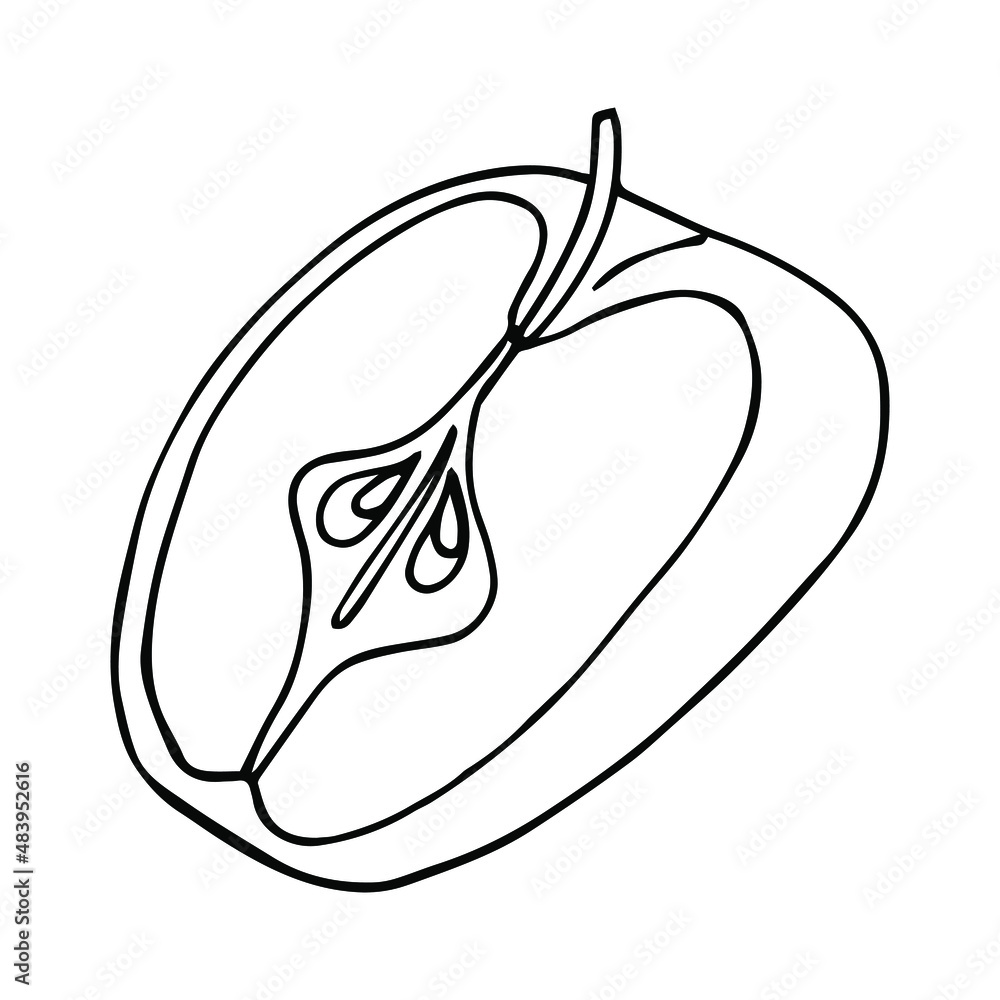 Food items - Apple. Vector doodle illustration in eps10 Food items - Apple. Vector doodle illustration in eps10