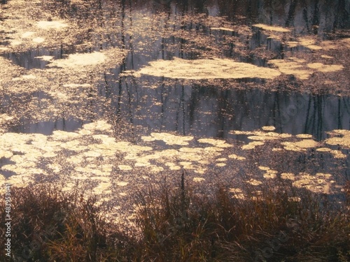 sun glare on the lake