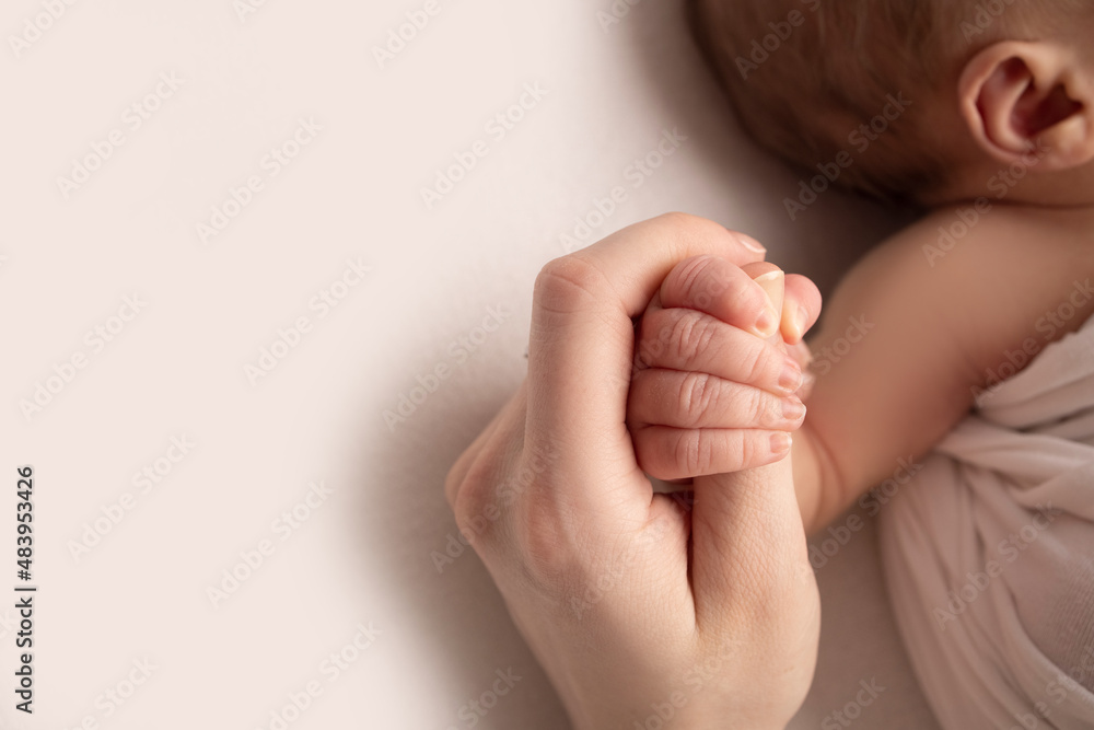 The hand of a sleeping newborn in the hand of mother and father close-up. Tiny fingers of a newborn. The family is holding hands. Studio macro photography. Concepts of family and love.