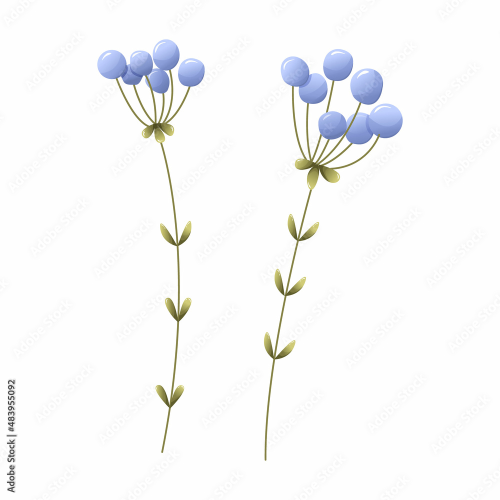 Vector illustration of violet flowers. Botanical, decorative wildflowers.