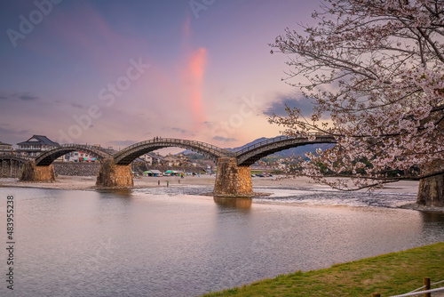 Cherry blossom at Kintaikyo bridge Iwakuni city, Japan