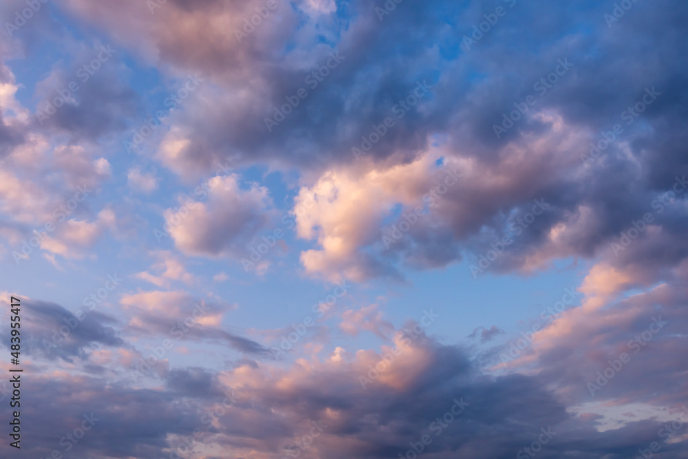 Evening blue sky with divine soft pink clouds. Sky replacement texture.