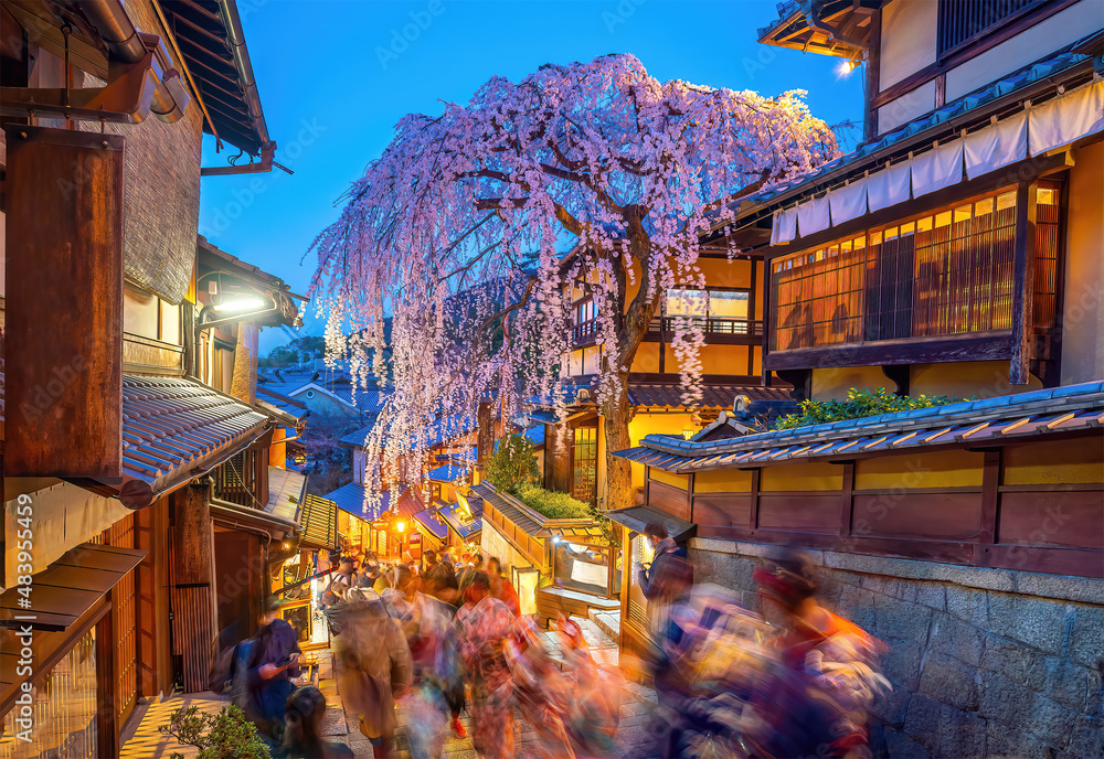 The historic Higashiyama district in Kyoto, Japan springtime with sakura tree