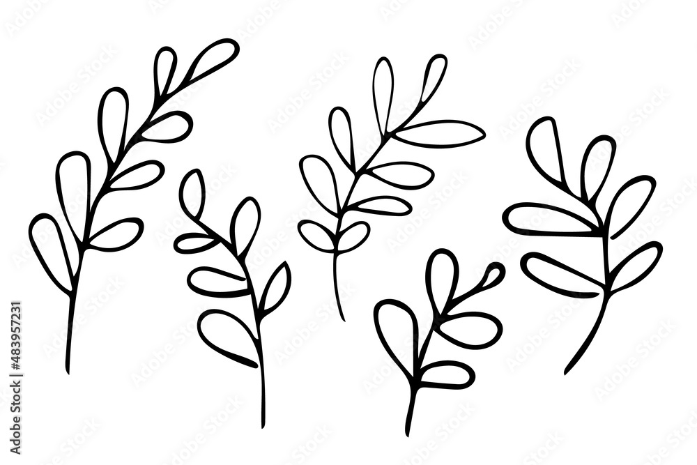 Set of hand drawn outline leaves, black botanical illustrations isolated on white background. Doodle drawing