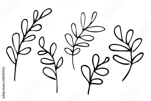Set of hand drawn outline leaves  black botanical illustrations isolated on white background. Doodle drawing