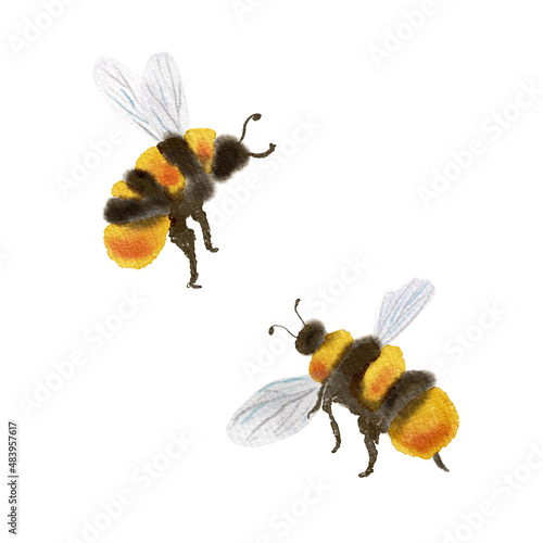 Watercolor Flying Honey Bees Isolated Elements Set