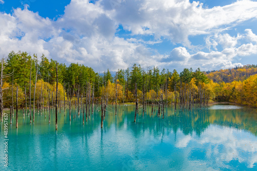 北海道 美瑛の青い池 紅葉の季節 © hasetetsu