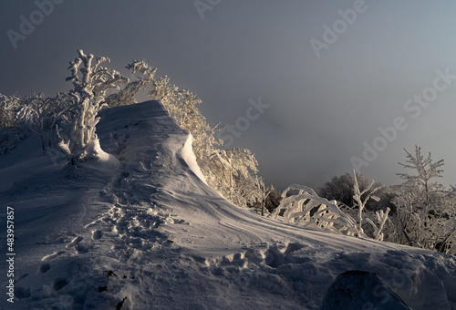 Fototapeta Naklejka Na Ścianę i Meble -  Bieszczady, Karpaty, Polska