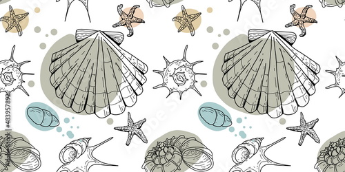 Seamless pattern of colored and graphics seashells. Set of seashells for background and design. Set of colorful hand drawn seashells for web design. Set of isolated sea shells on a white background.