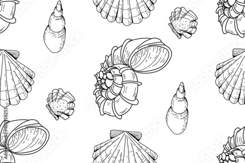 Seamless pattern of graphics seashells. Set of seashells for background and design. Set of graphics hand drawn seashells for web design. Set of isolated sea shells on a white background.