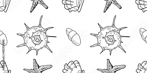Seamless pattern of graphics seashells. Set of seashells for background and design. Set of graphics hand drawn seashells for web design. Set of isolated sea shells on a white background.