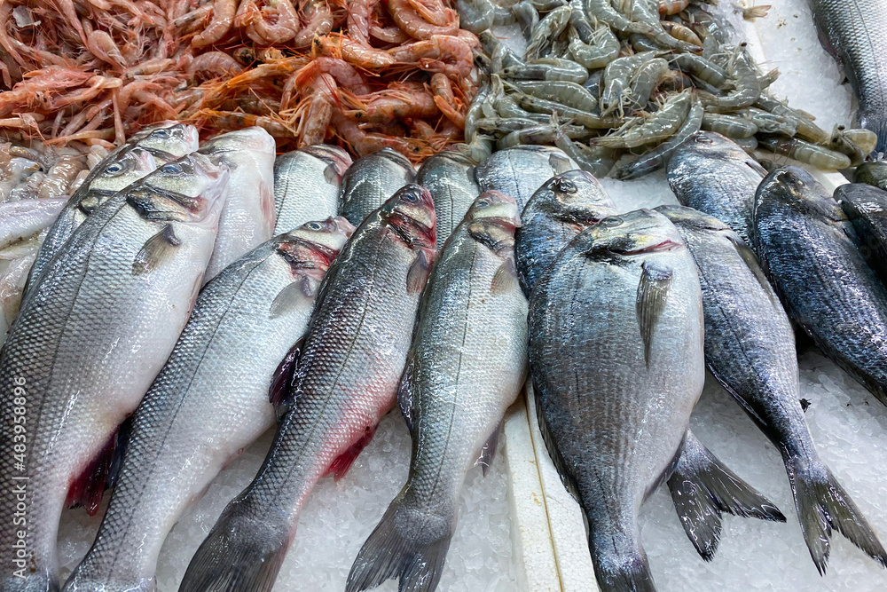 Fresh fish and seafood at fish market stall as seafood background. Variety of fresh seafood