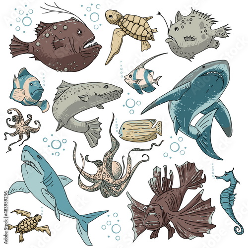 Colored fish set. Sea life set for background and design. Set of colorful hand drawn clams for design. Set of isolated marine inhabitants on a white background. underwater concept.